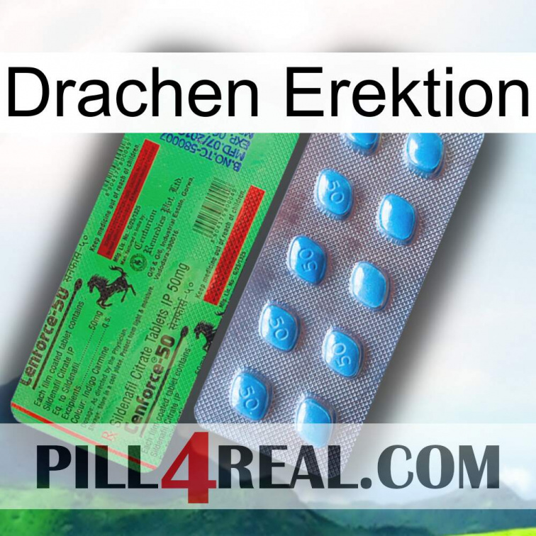 Dragon Erection new03